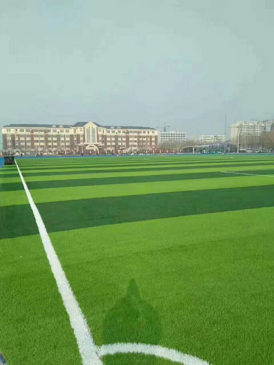 潮州市塑胶颗粒仿真草坪 - 方案